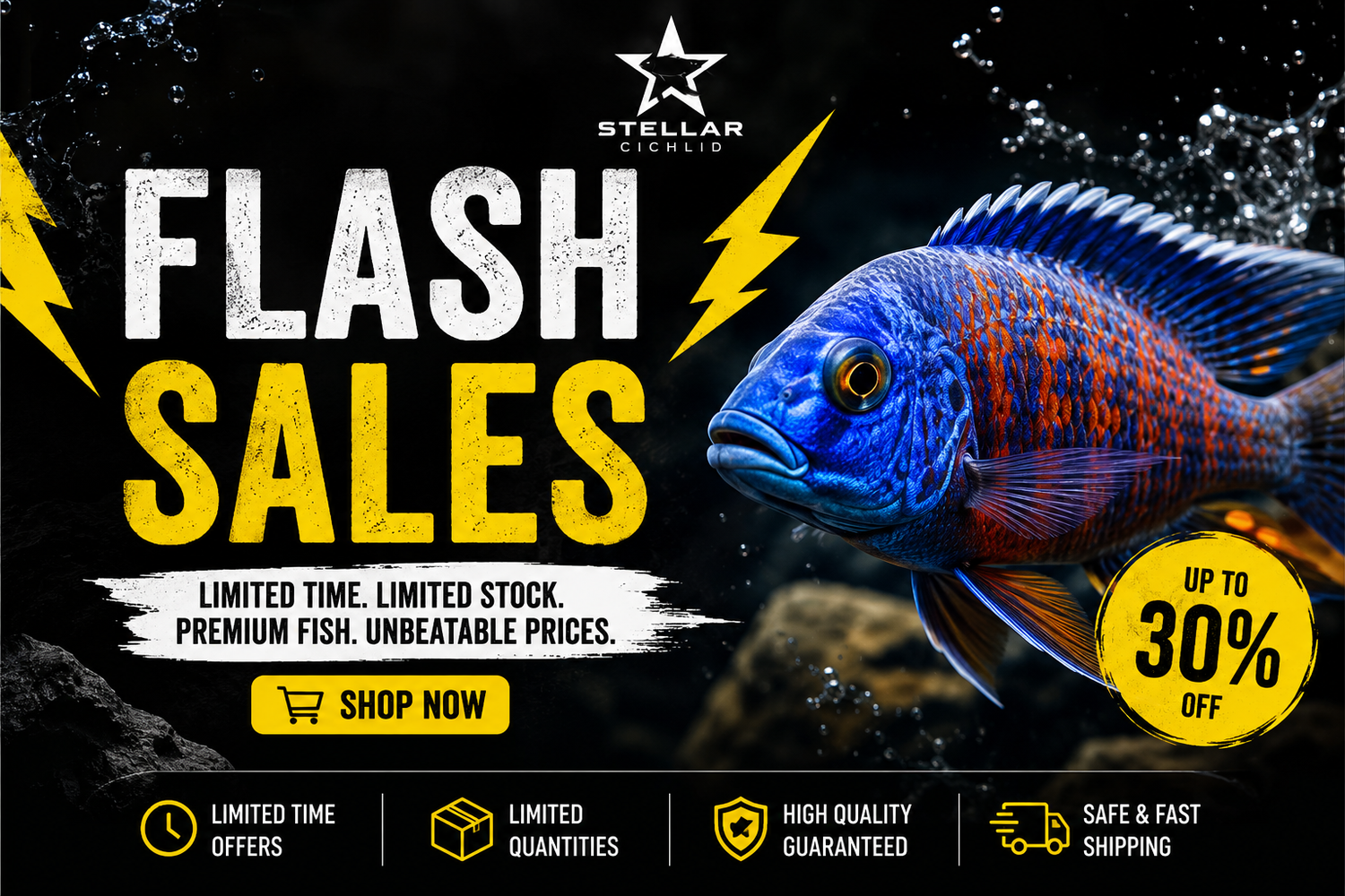 Flash Sales