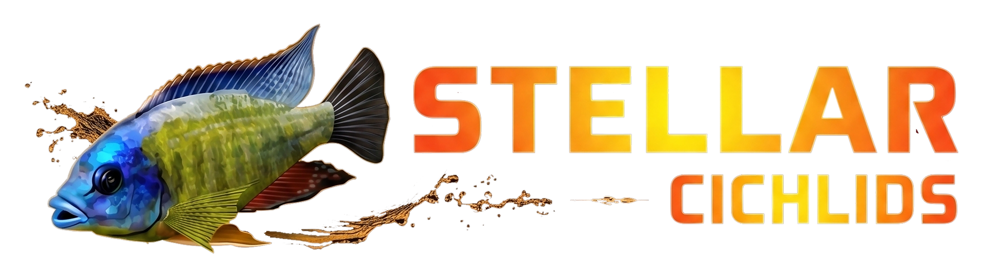 Stellar Cichlids